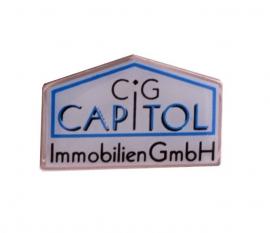 Pins Offsetdruck Capitol